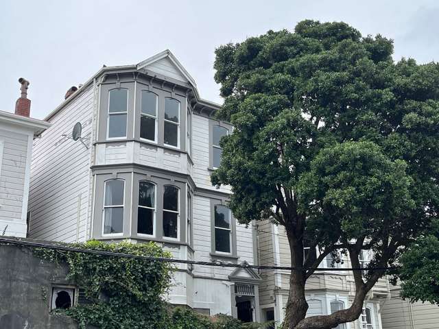 28 MacDonald Crescent Te Aro_3