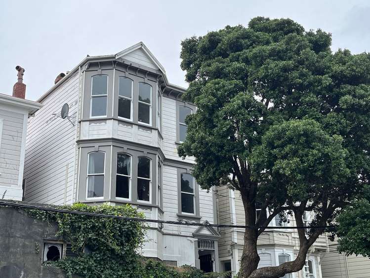 28 MacDonald Crescent Te Aro_3