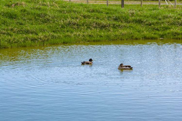 73 Ranganui Road Kaiwaka_52