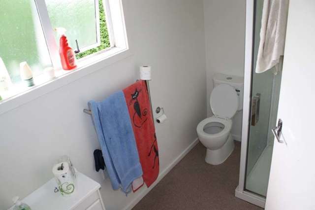 133 Centennial Avenue Alexandra_4