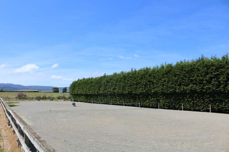 446 Anderson Road Winton Surrounds_21