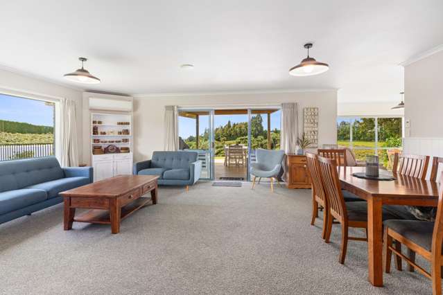 617 No 2 Road Te Puke_3