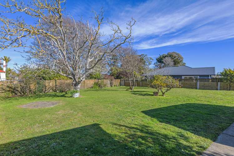 33 Daniell Street Bulls_22