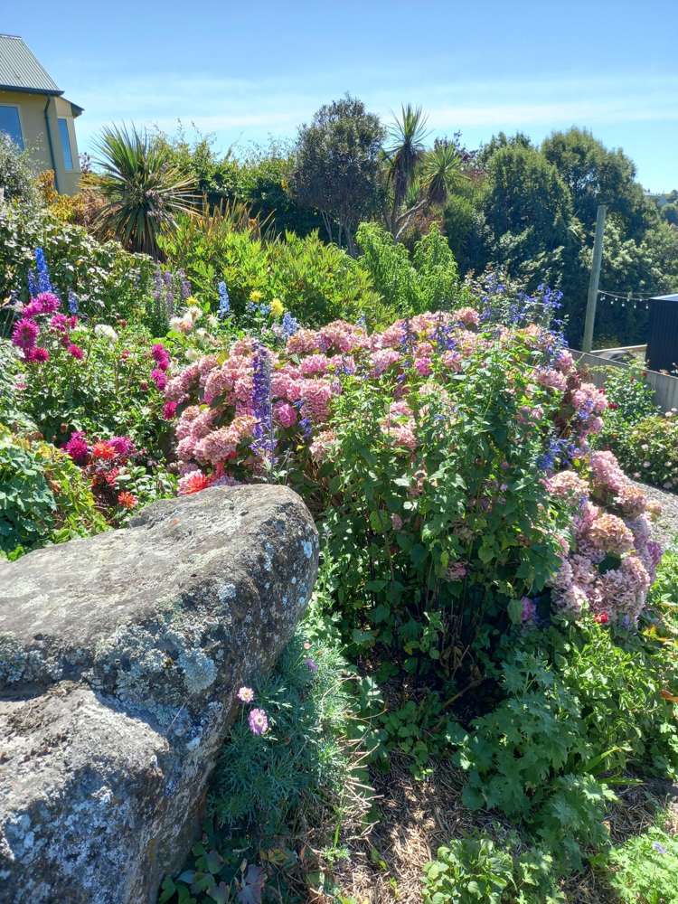 53 Nikau Place Highfield_17