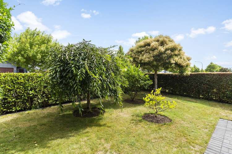 40 Pickaberry Avenue Karaka_25