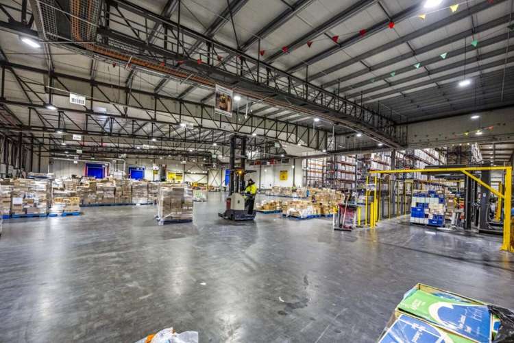 17 Nesdale Avenue Wiri_14