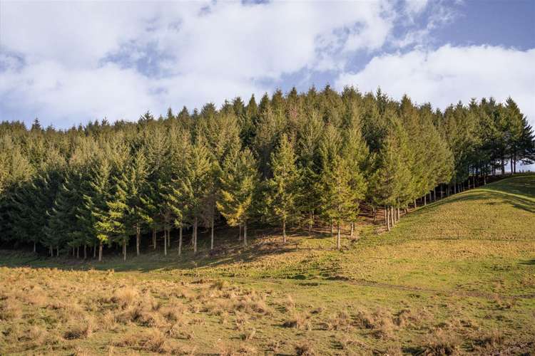 44 Redwood Park Road Redwood Valley_17