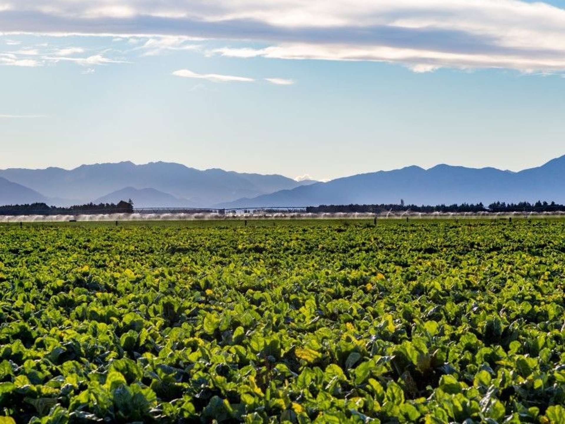 1347 Rakaia Highway Chertsey_0