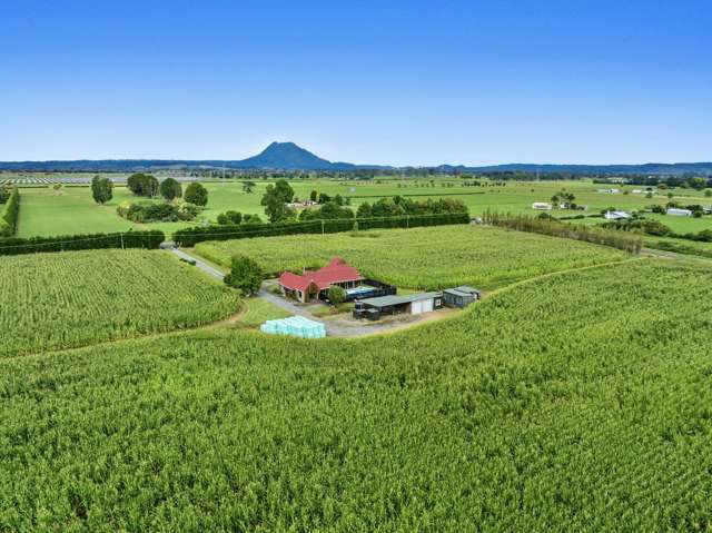 164 Otakiri Road Edgecumbe_3