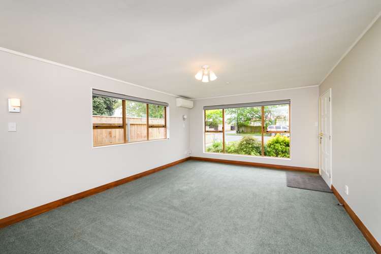 47a Haydon Street Roslyn_2