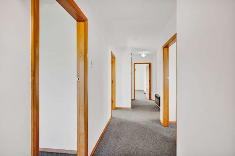 3a Waimea Street Westown_14