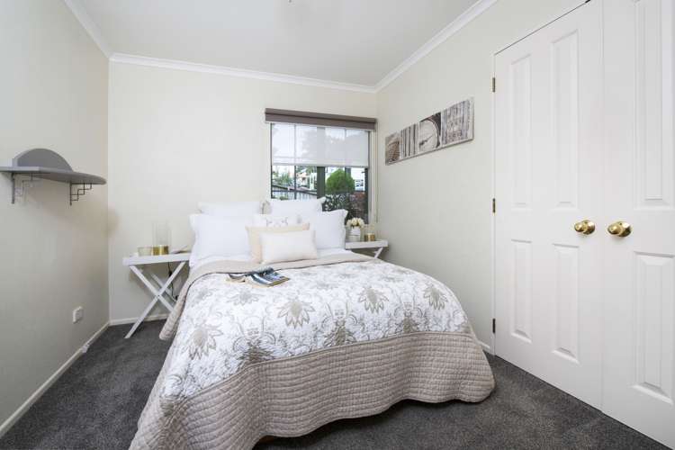 123a Cook Street Howick_11