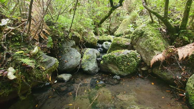 574 Honeymoon Valley Road Peria_12