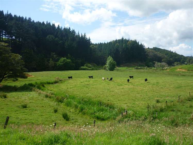 67 Rukuwai Road Parua Bay_25