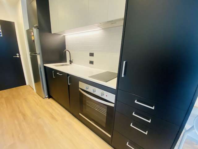 106 Vincent Street 10015_3