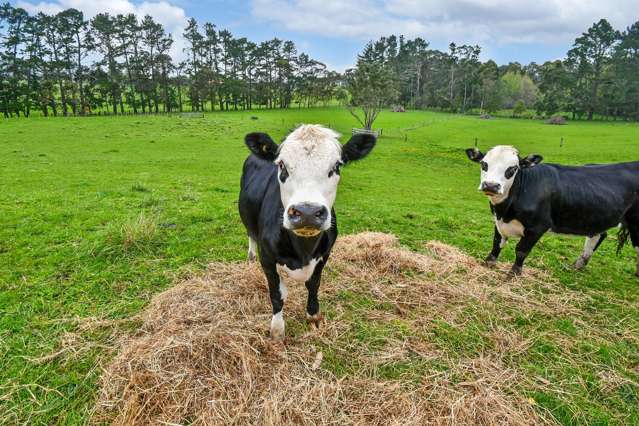 91B Estuary View Road Waiau Pa_4