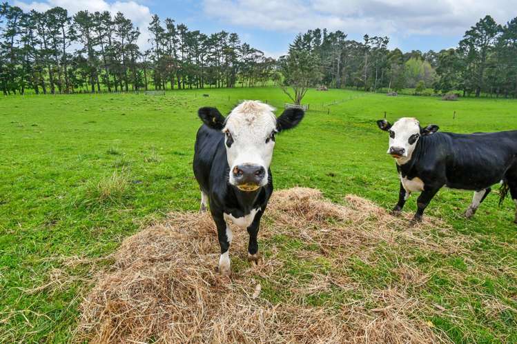 91B Estuary View Road Waiau Pa_4