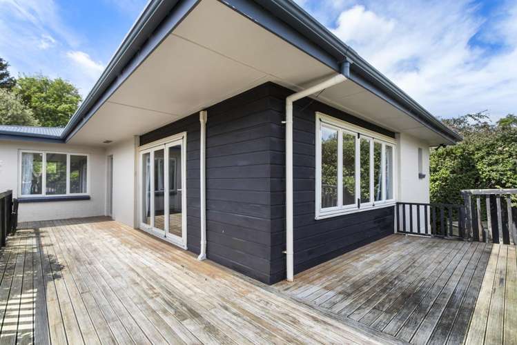 8 Alison Street Hamilton Lake_3