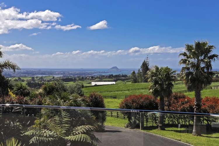 935 Upper Ohauiti Road Ohauiti_22