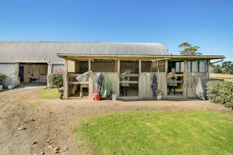 263b Waerenga Road Te Kauwhata_15