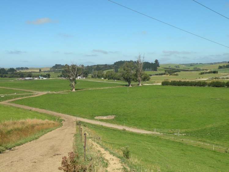 432 Flag Swamp Road Flag Swamp_1