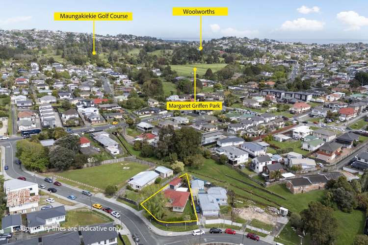 10 Haycock Avenue Mount Roskill_18