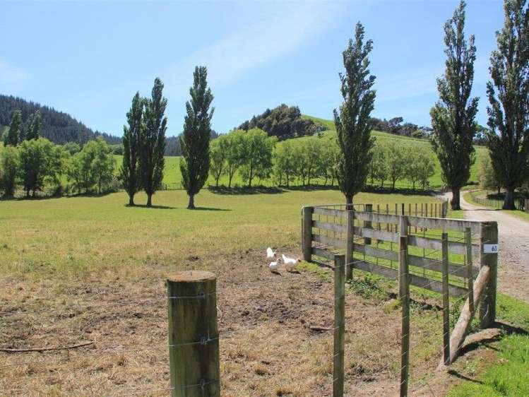 63 Waikupa Road Okoia_12