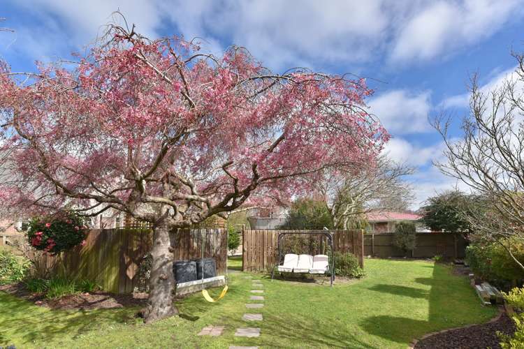 168 Hoon Hay Road Hoon Hay_15