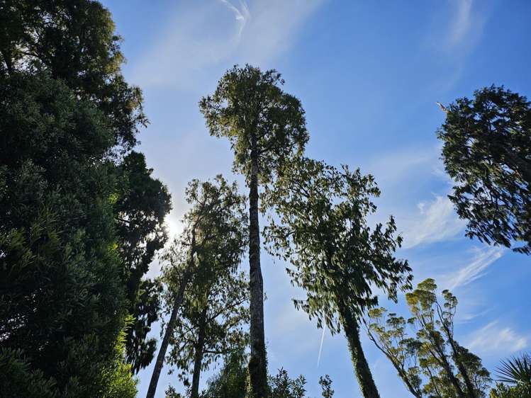 215 Clifton Road Kaiata_30