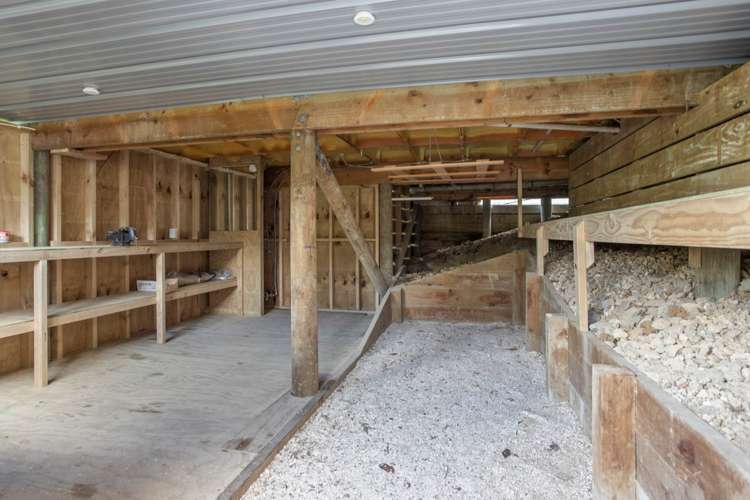 2/22a Tomo Street New Lynn_14