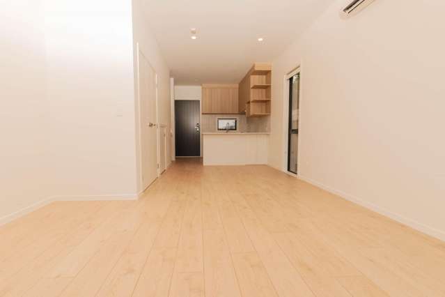 97 Atkinson Road 11422_1