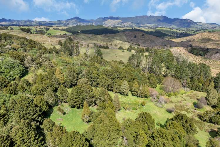 115 Woodward Road Maungatapere_30
