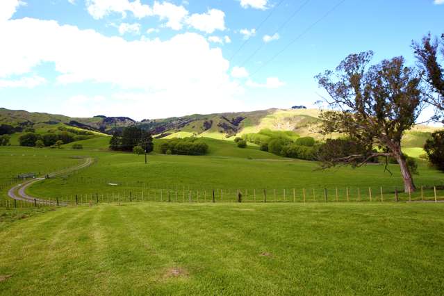 2538 Kahuranaki Road Elsthorpe_2