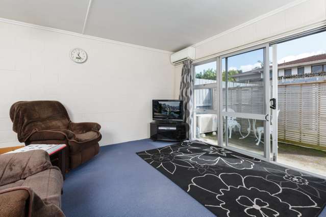 225c Fifteenth Avenue Tauranga South_1