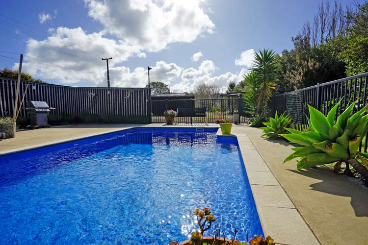 223 Pine Valley Road Dairy Flat_3