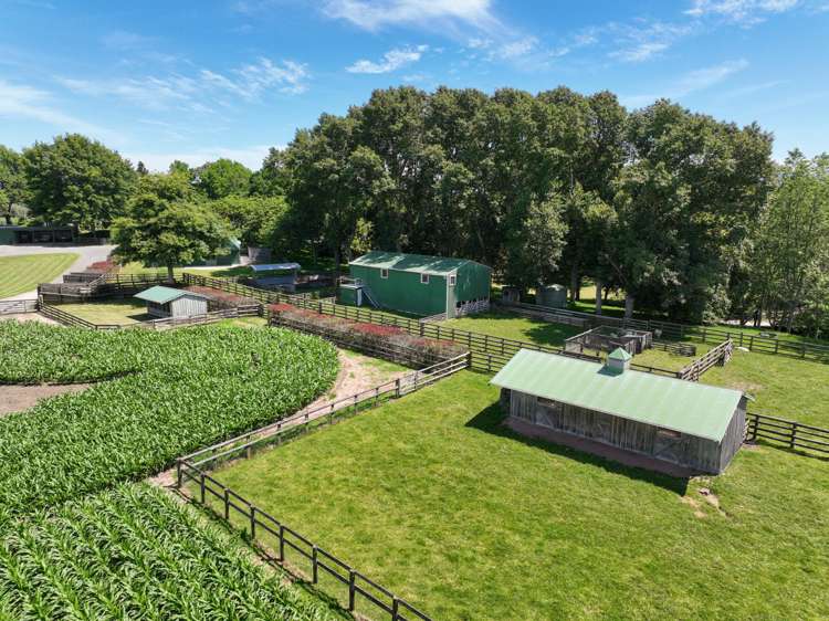 136 Wells Road Okoroire_30