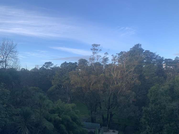 126 Candia Road Henderson Valley_10