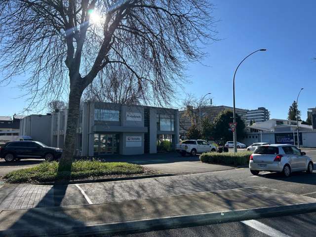 103 Tristram Street Central Hamilton Lake_1