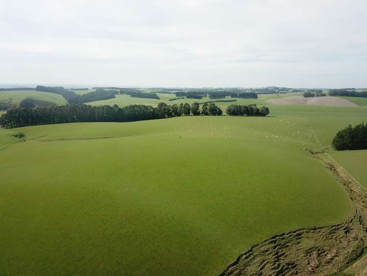 20 Carruthers Road Pomahaka_8