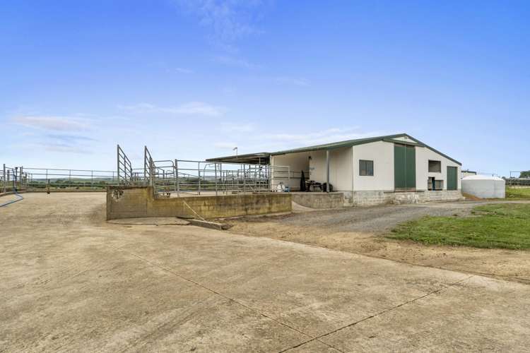 51a Waverley Road Gordonton_6