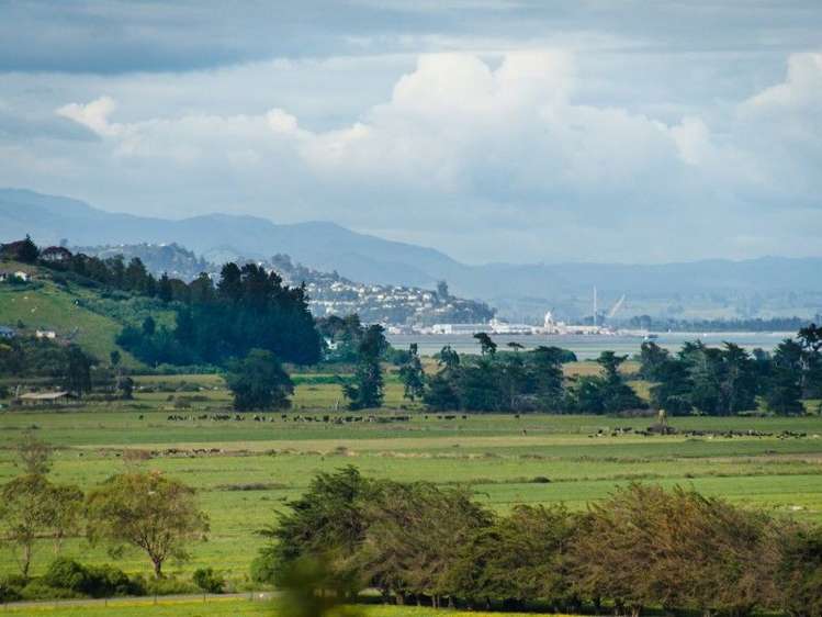 16 Athol Street Glenduan_11