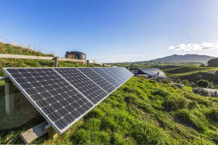 178 Houchen Road Raglan_12