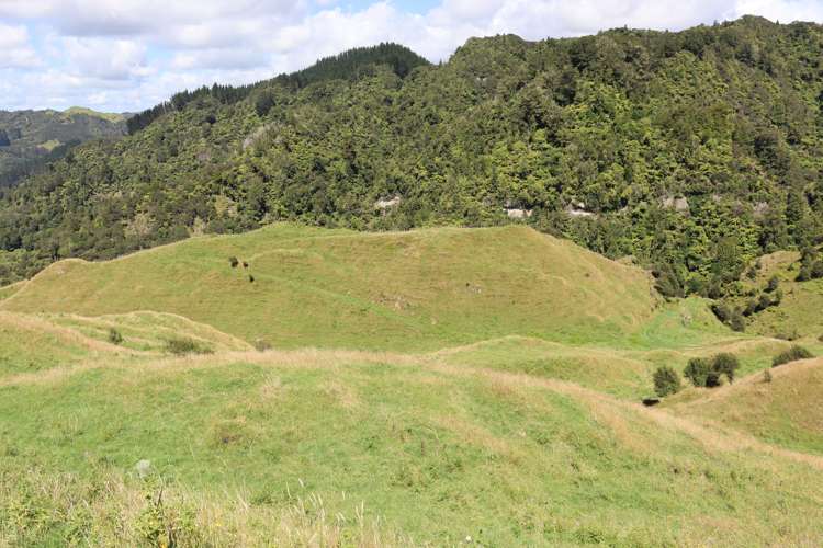 1 Waitaanga Road Ahititi_32