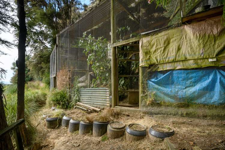 83 Dehra Doon Road Motueka_20