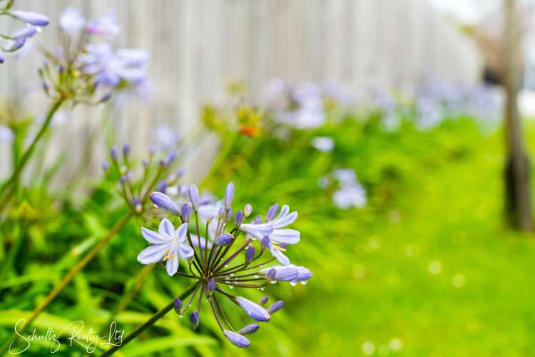 6 Rata Lane Maungaturoto_36