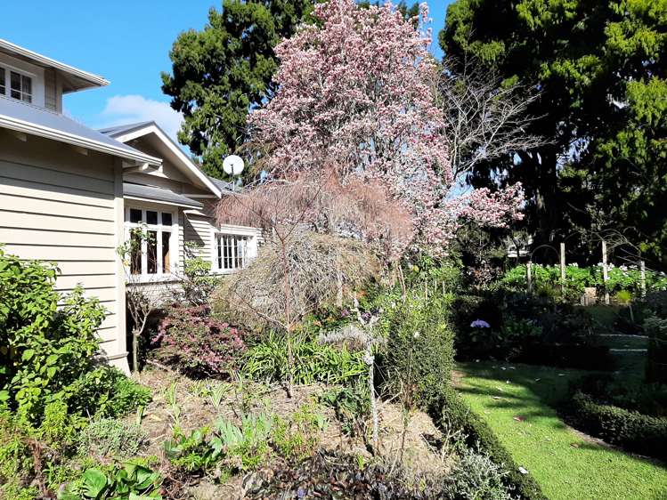 33 Bridge Street Whakatane_10