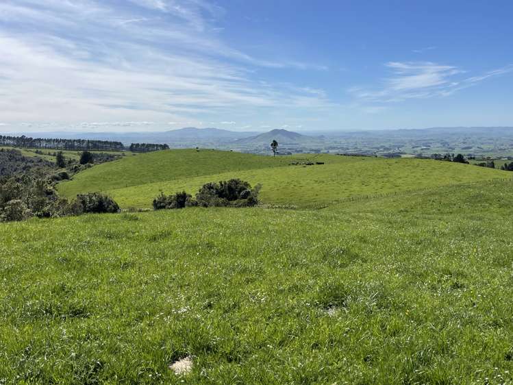 Pekanui Road Puketotara_20