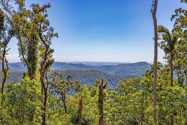 148B Wongawallan Road Tamborine Mountain_3