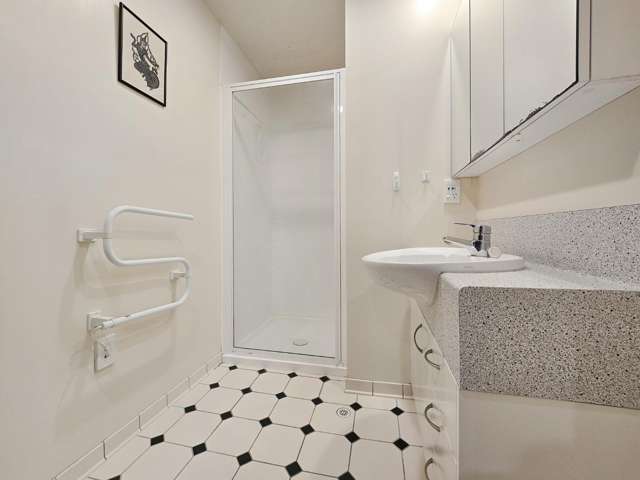 4d/163 The Terrace Wellington Central_4