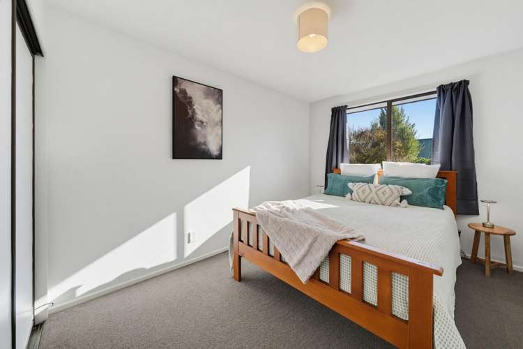 15 Lowry Avenue Redwood_6